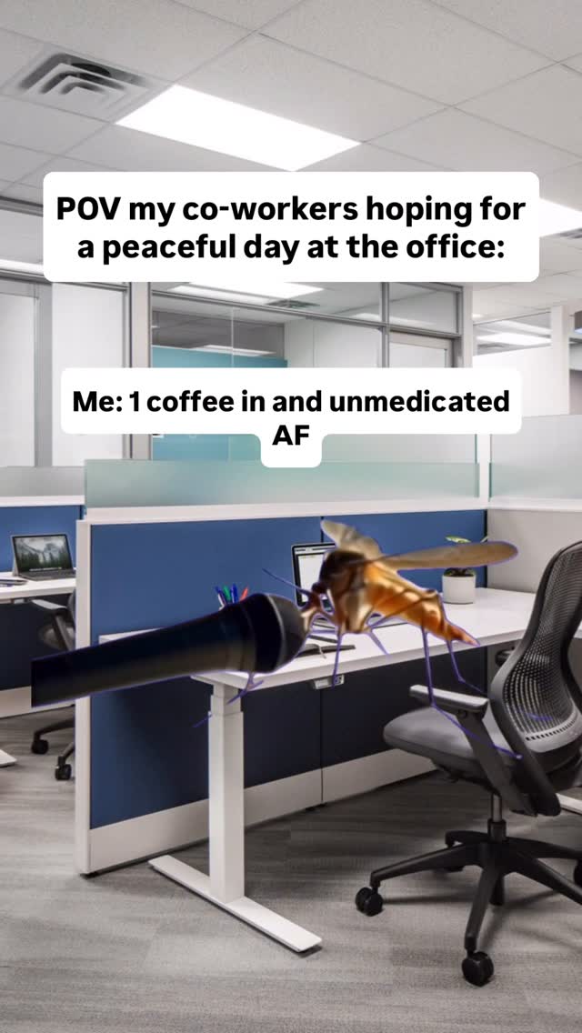 instagram video