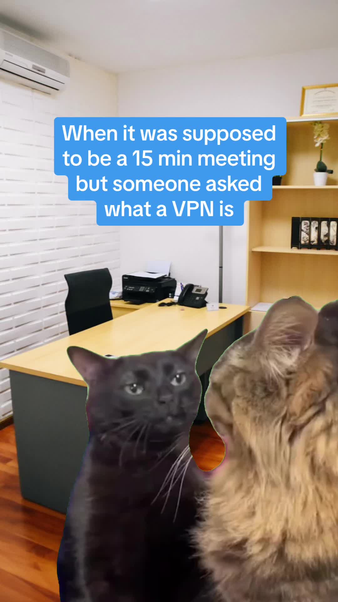 tiktok video