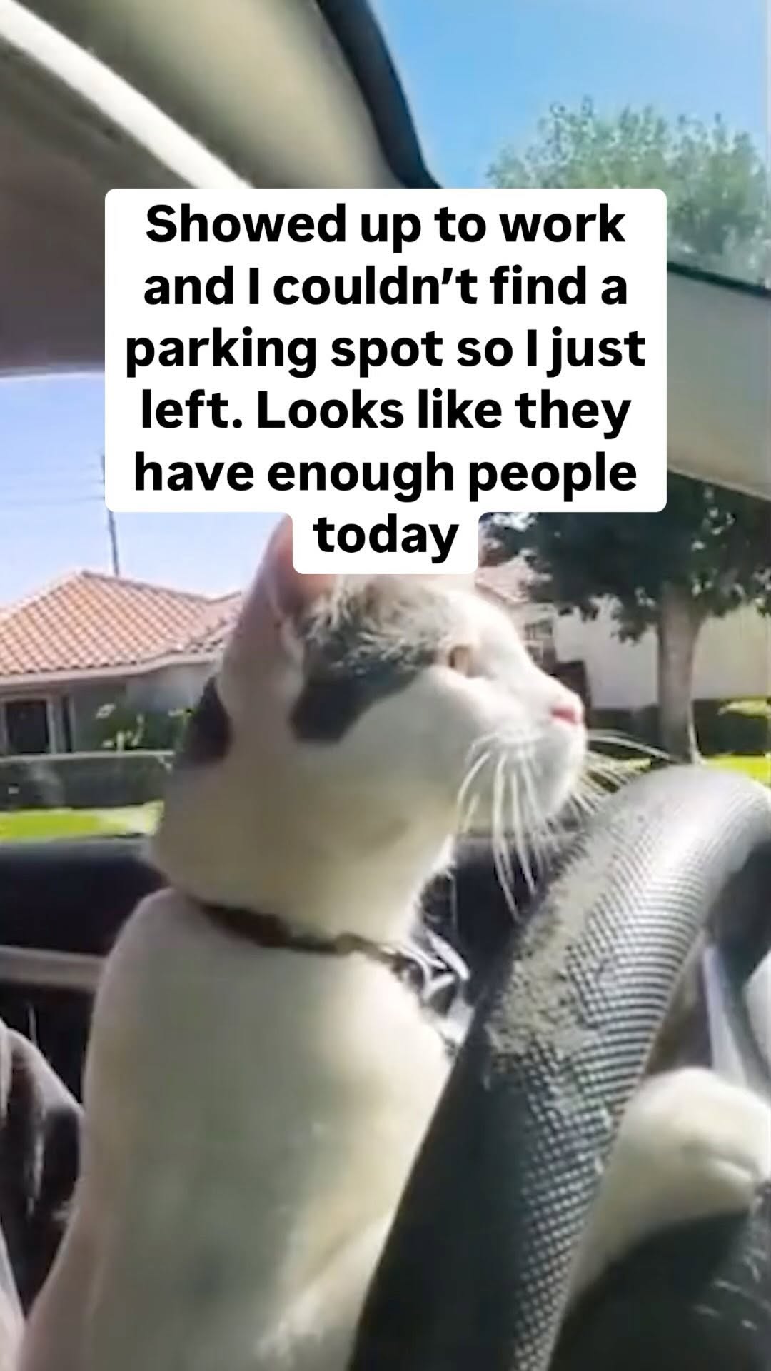instagram video
